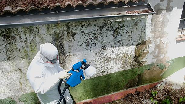 Trusted Mold Inspection service in Atlantic Beach, NY - Cheap Mold Removal